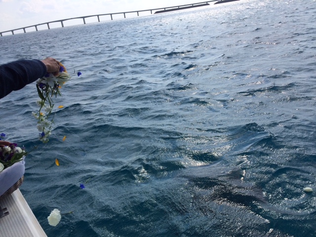 宮古島散骨