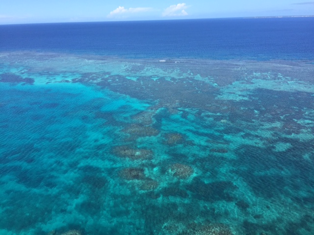 美しき海に眠る散骨